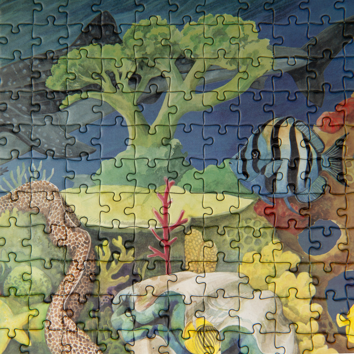 Παζλ 1000τμχ Κοραλλιογενης Ύφαλος 11-719442 Moulin Roty - Image 5